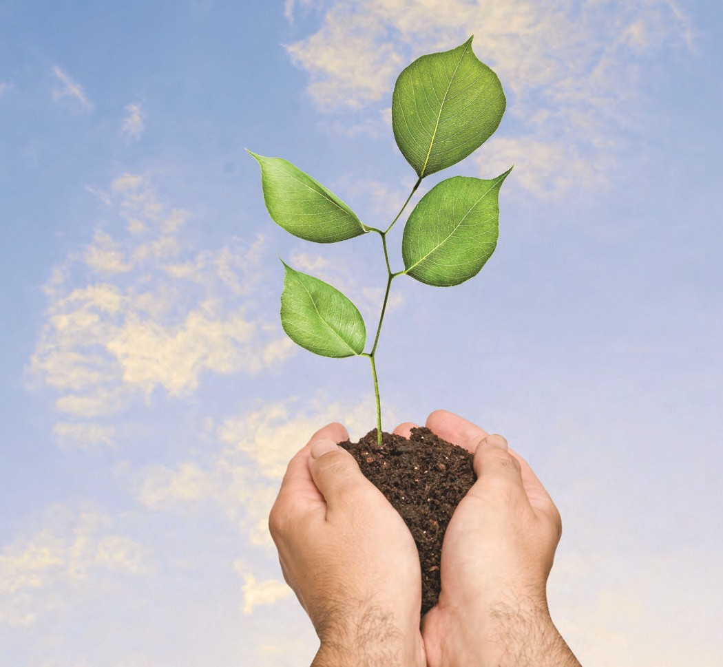 ThermalPlaster Technical Support Team - Perlite Insulation Experts